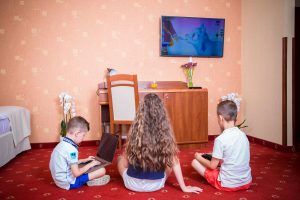 Pokoje standard z telewizorem i internetem w Dworze Bogucin